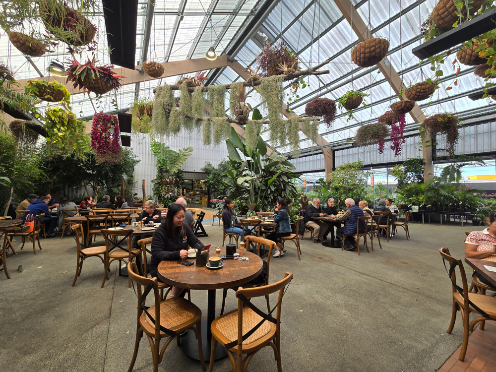 Hanging baskets in Kings Plant Barn communal area